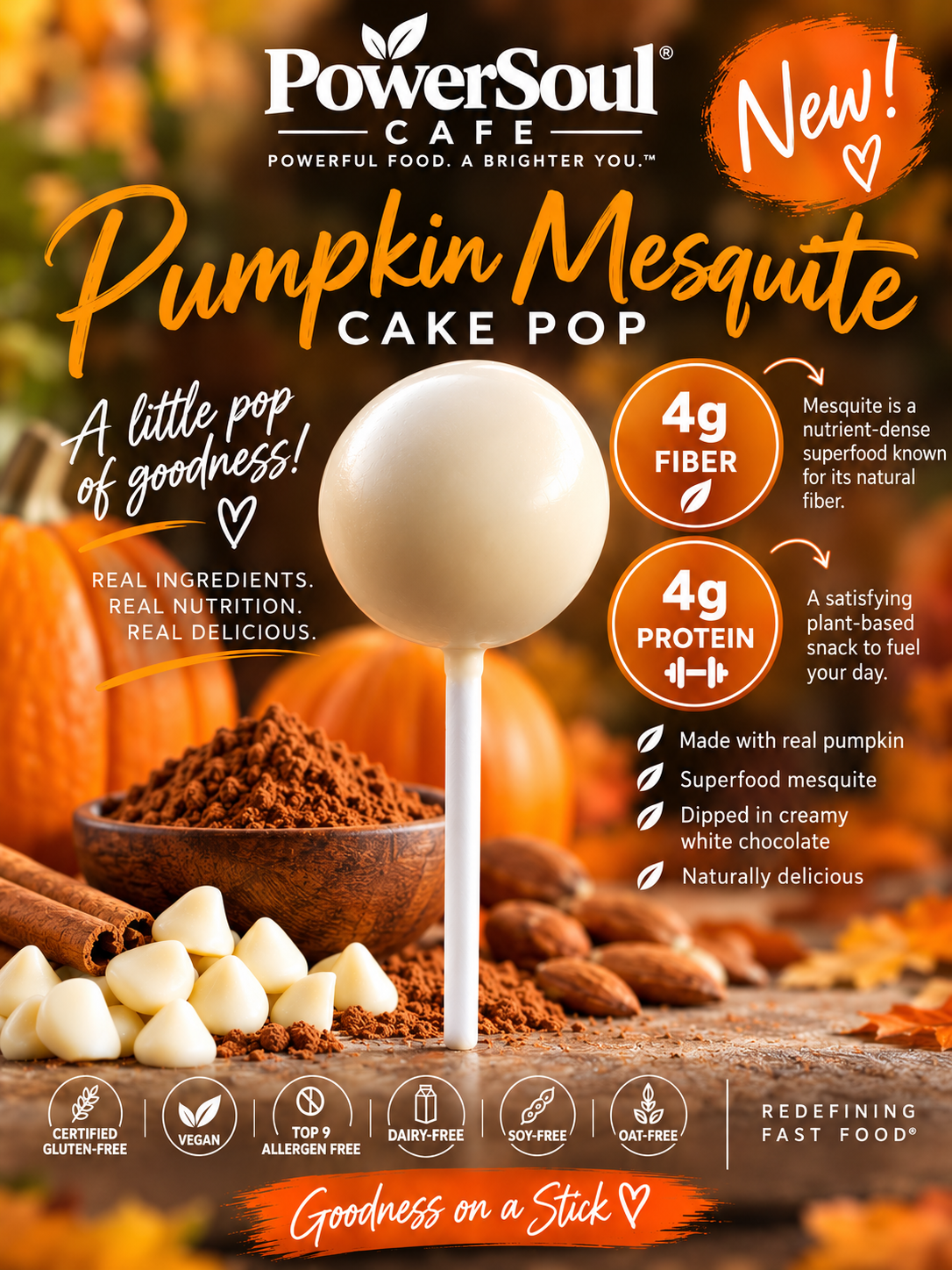 Certified Gluten-free Vegan Pumpkin Mesquite Cake Pops (12 Pack)